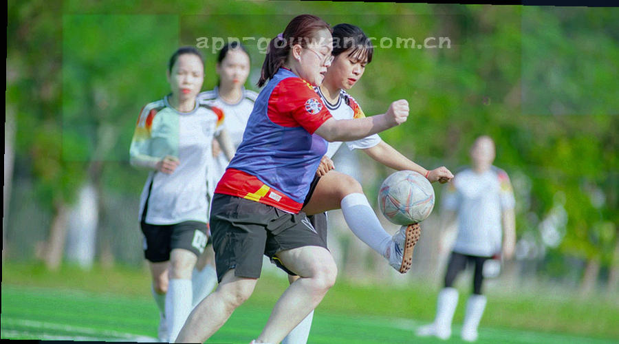 入口调整、兼容修正与反馈闭环三类标签的图形索引，编号并列排布